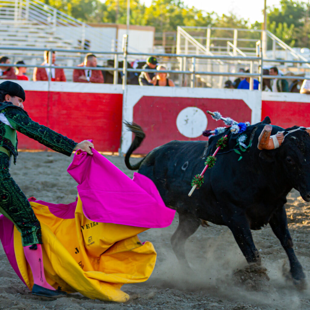 stancofair-Portuguese-Bloodless-bullfights