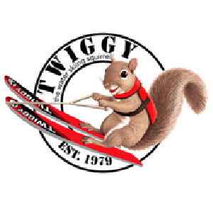 Twiggy Squirrel-2 300 x 300